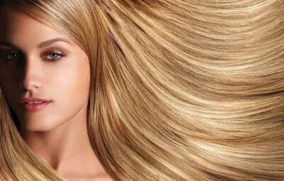 Goldwell - The Story Behind This Hair Care Giant