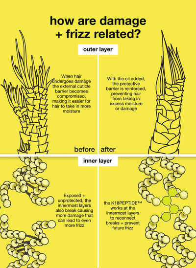 Infographic explaining the relationship between hair damage and frizz, illustrating outer and inner hair layers before and after repair.