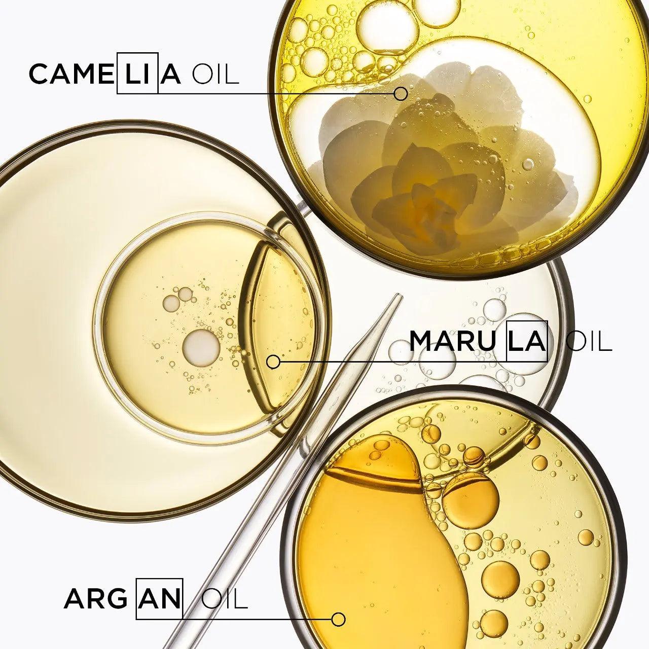 Camellia, Marula, and Argan oils in petri dishes showcasing the benefits of natural oils for skincare and haircare